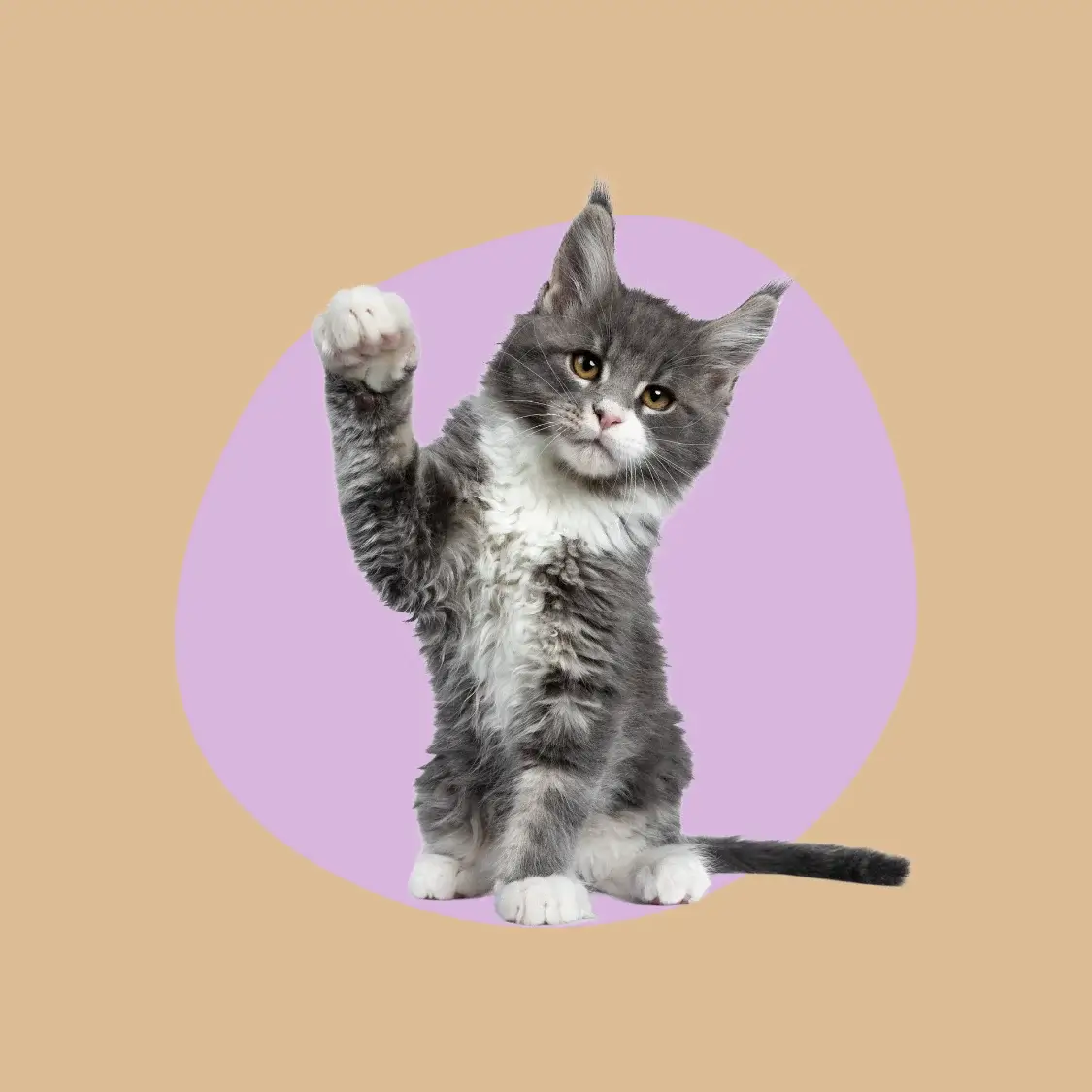 suivi et ajustements